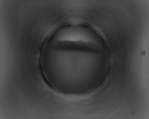 X0000091460018200708301841