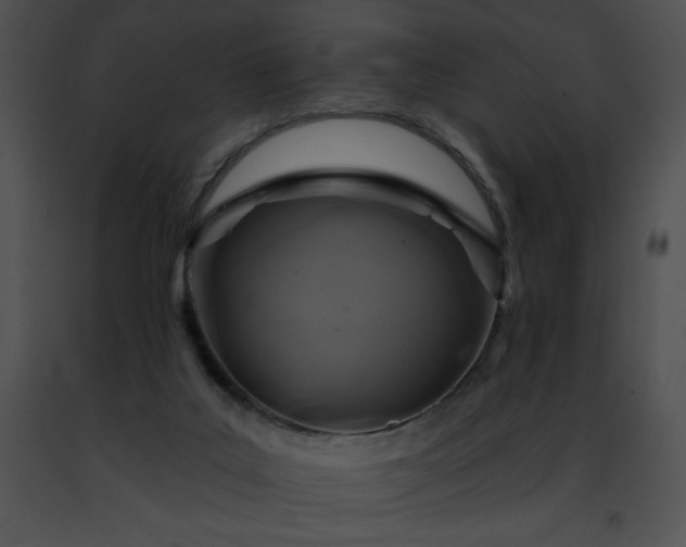 X0000091460019200708301841