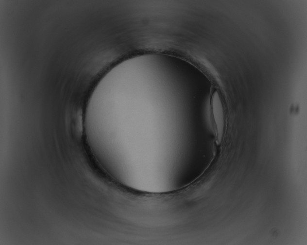 X0000091460020200708301841