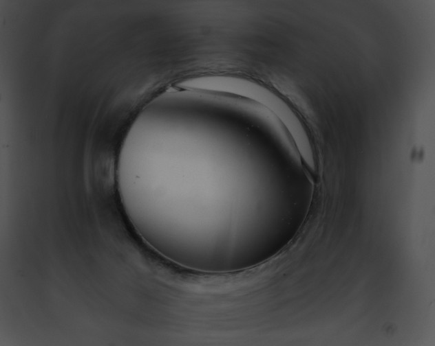 X0000091460021200708301841