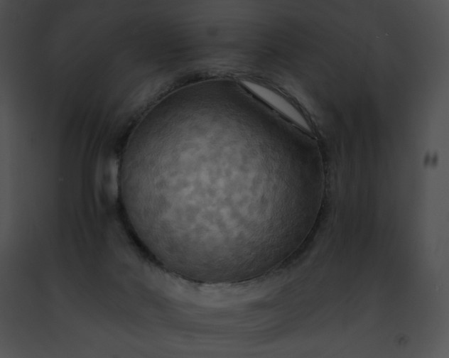 X0000091460022200708301841