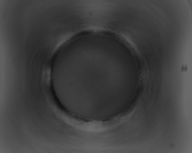 X0000091460024200708301841