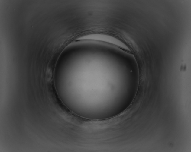 X0000091460025200708301841