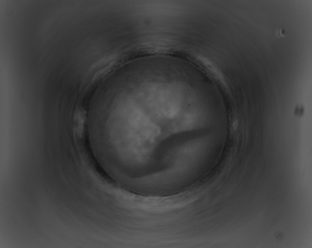 X0000091460026200708301841