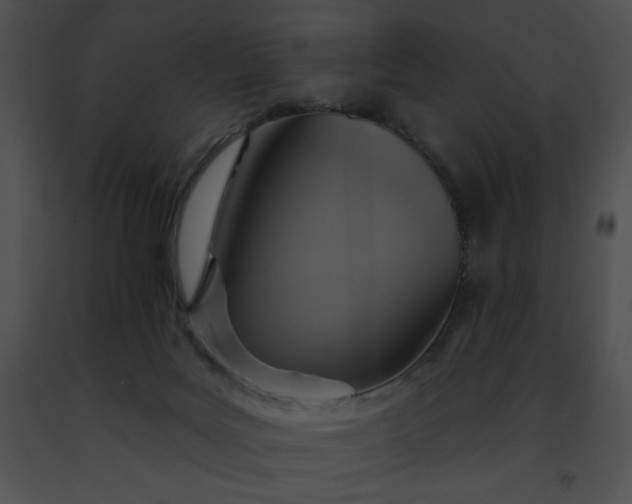 X0000091460027200708301841