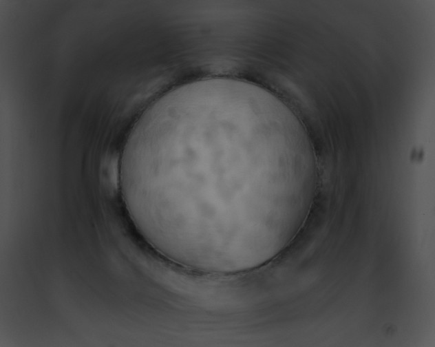 X0000091460028200708301841