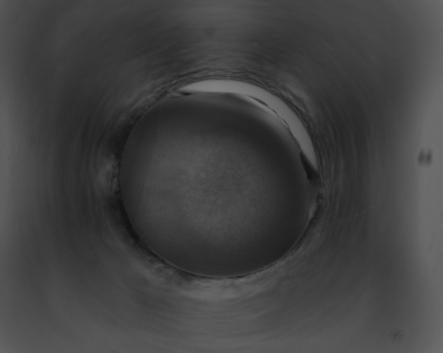 X0000091460029200708301841