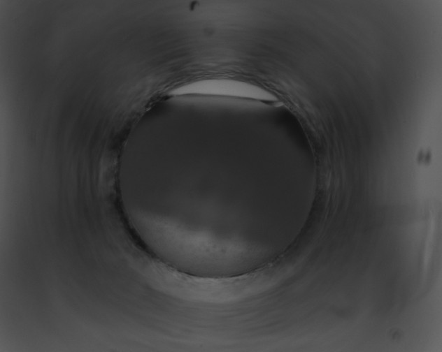 X0000091460030200708301841