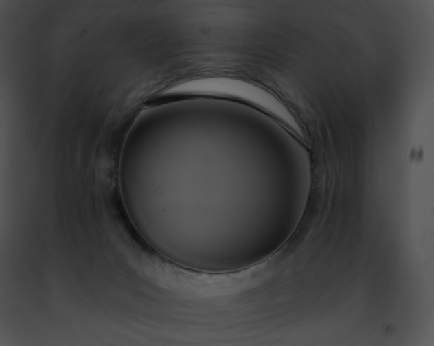 X0000091460031200708301841