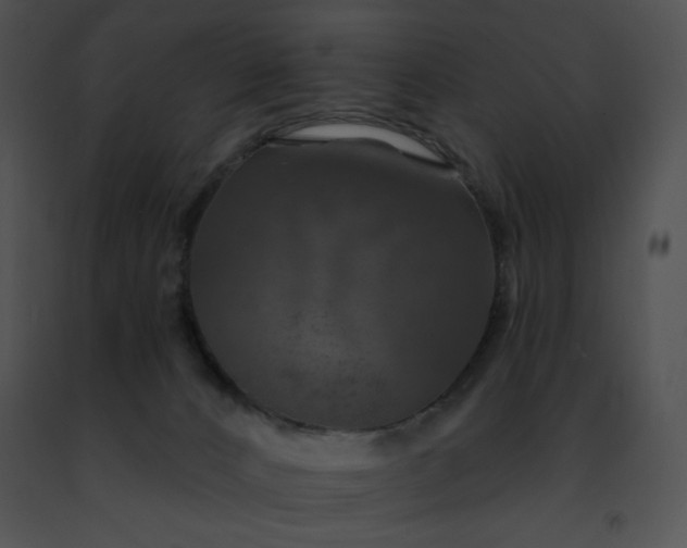 X0000091460032200708301841