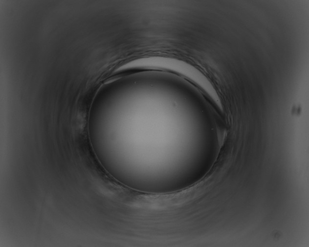 X0000091460033200708301841