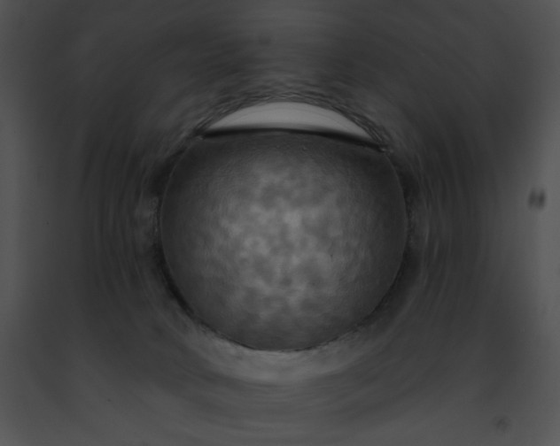 X0000091460034200708301841