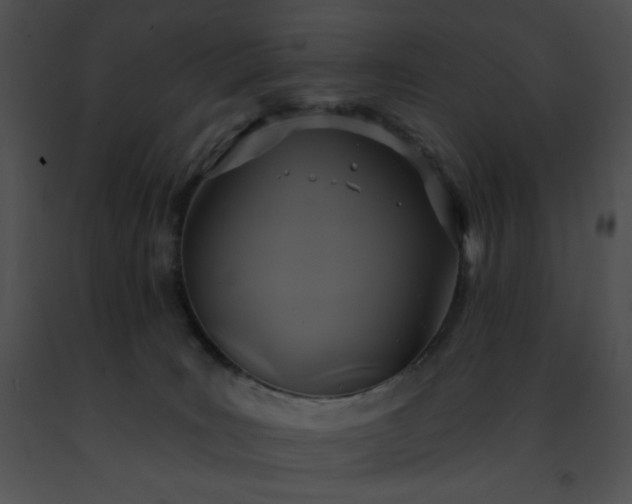 X0000091460035200708301841