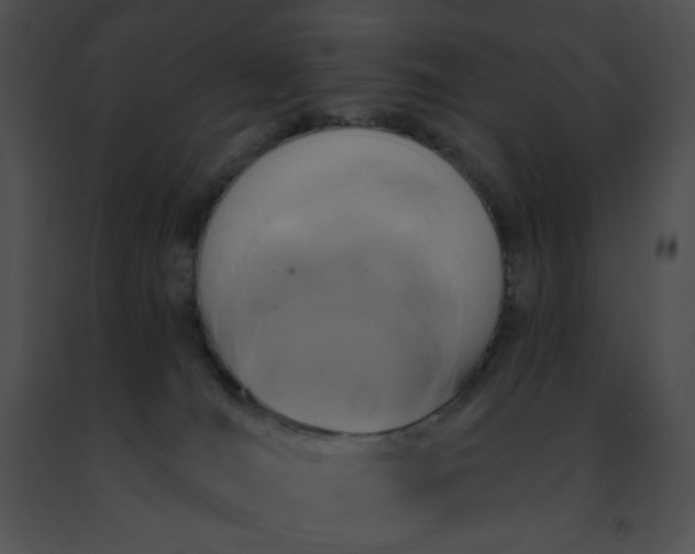 X0000091460036200708301841