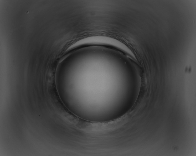 X0000091460037200708301841