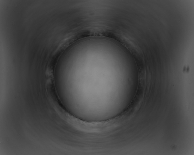 X0000091460038200708301841