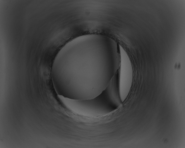 X0000091460039200708301841