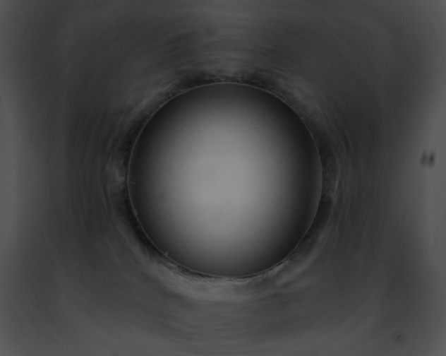 X0000091460040200708301841