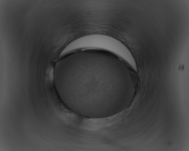 X0000091460041200708301841