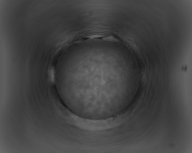 X0000091460042200708301841