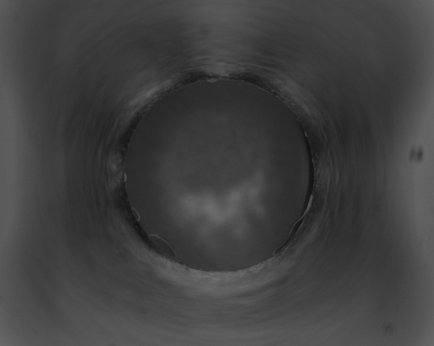 X0000091460043200708301841