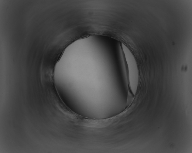 X0000091460045200708301841