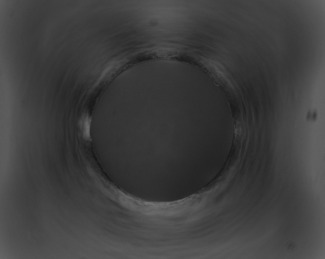 X0000091460046200708301841