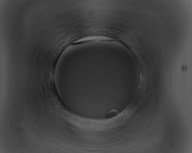 X0000091460048200708301841