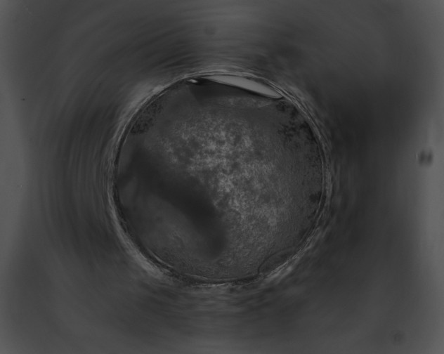 X0000091460049200708301840