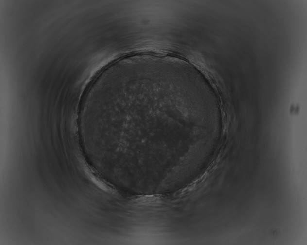 X0000091460050200708301840