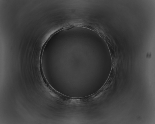 X0000091460052200708301840