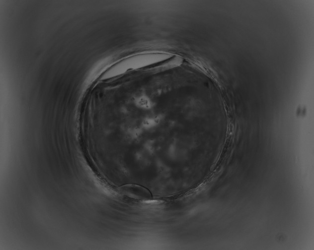 X0000091460053200708301840