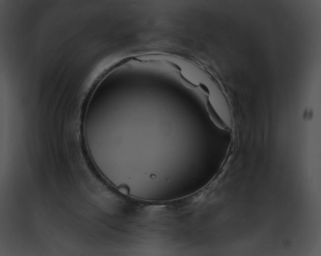 X0000091460054200708301840