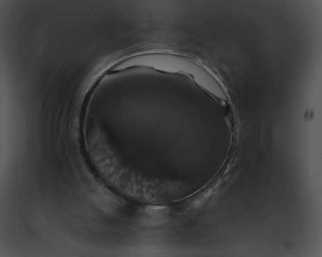 X0000091460055200708301840