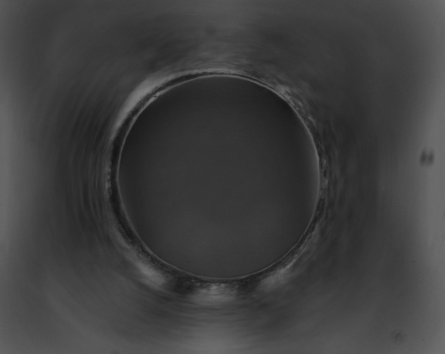 X0000091460056200708301840