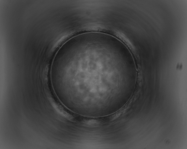 X0000091460058200708301840