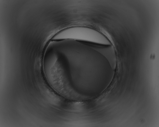 X0000091460059200708301840