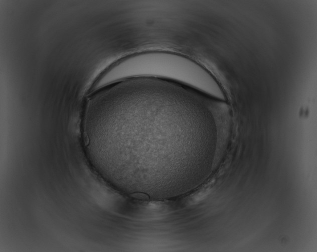 X0000091460060200708301840