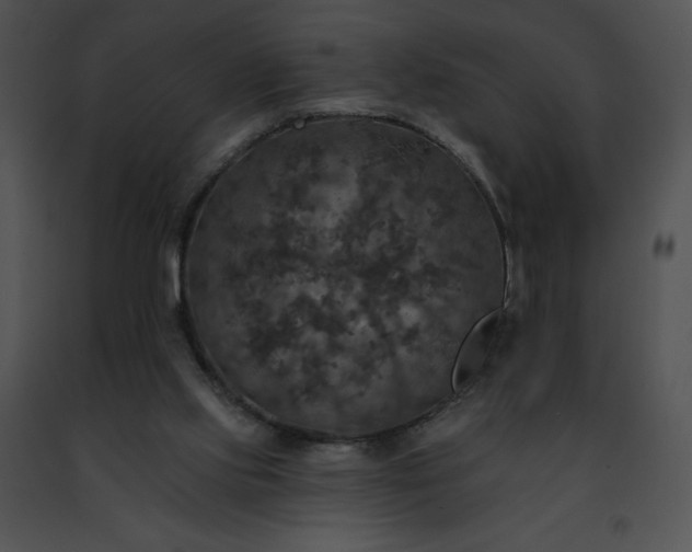 X0000091460061200708301840