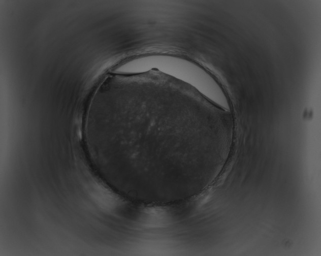 X0000091460062200708301840