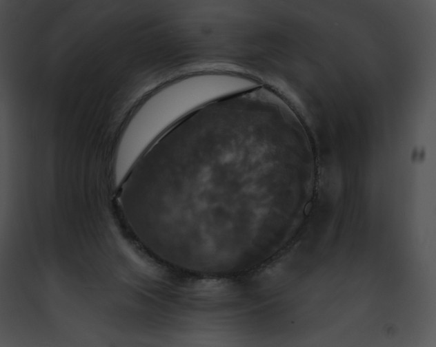 X0000091460063200708301840