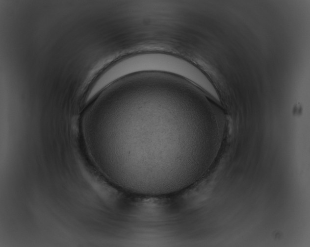 X0000091460064200708301840