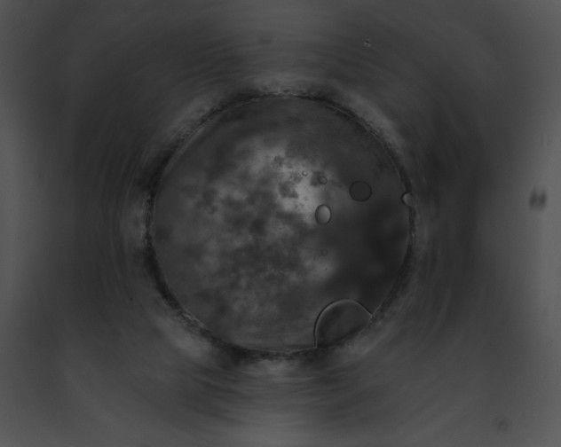 X0000091460065200708301840