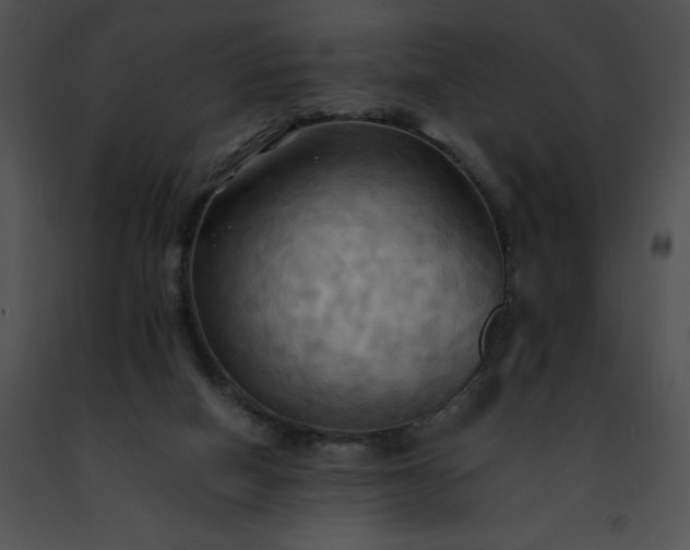 X0000091460066200708301841