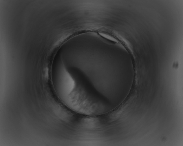 X0000091460067200708301841