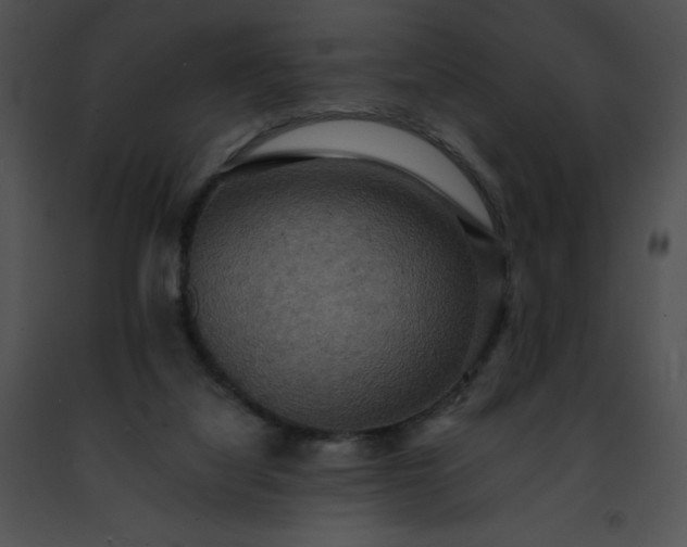 X0000091460068200708301841