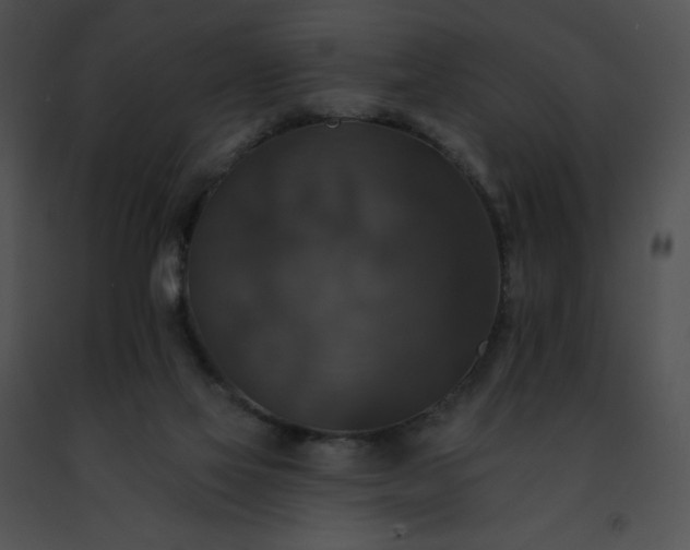 X0000091460069200708301841