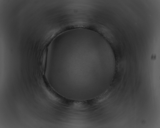 X0000091460070200708301841