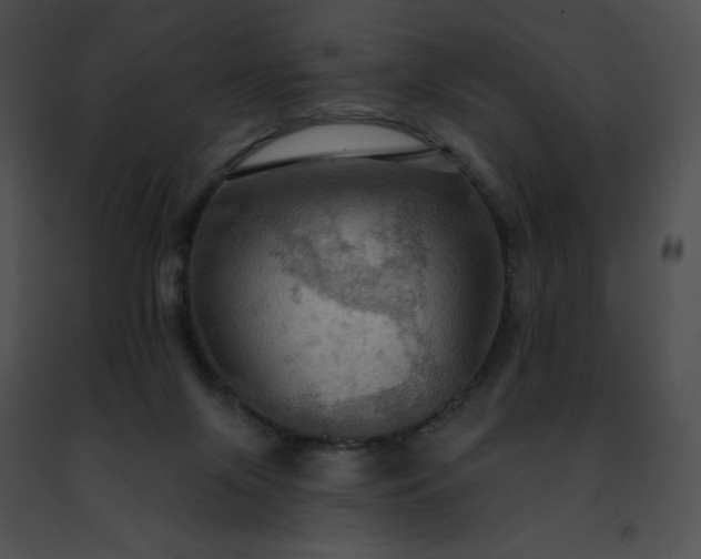 X0000091460071200708301841