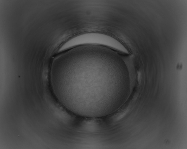 X0000091460072200708301841